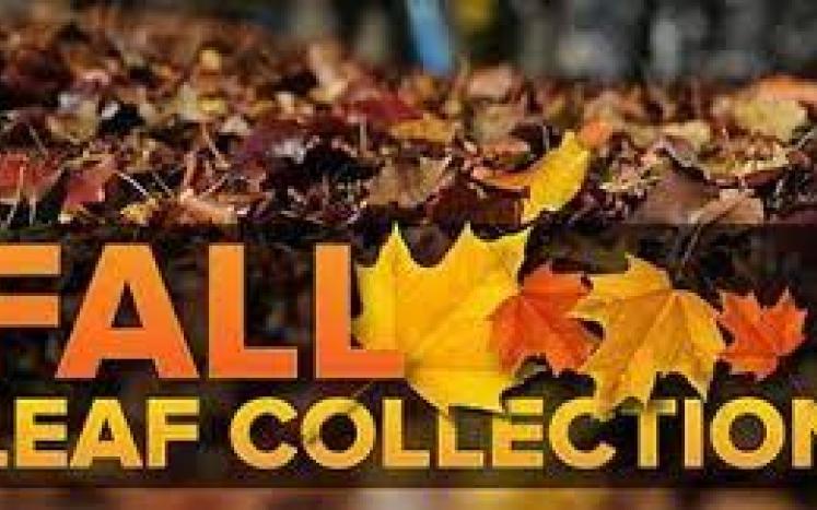 picture of leaves with graphic stating fall leaf collection